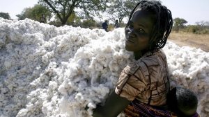 lisle cotton yarn 